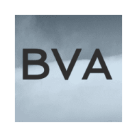 Bva / brown venture associates