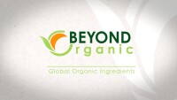 Bv usa llc