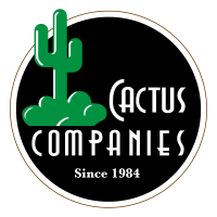 Cactus consolidators