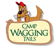 Camp wagging tails