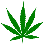 Cannabis business exchange - marijuana b2b marketplace