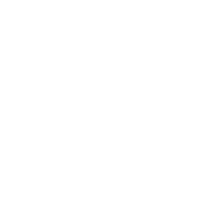 Capital audio electronics