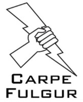 Carpe fulgur llc