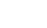 Castle ladyhawke