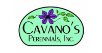 Cavano's perennials, inc.