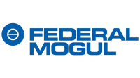Federal-mogul ignition company