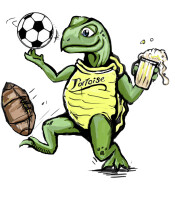 Cheerful tortoise