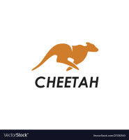 Cheetah development