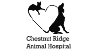 Chestnut ridge animal hospital