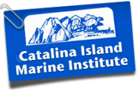 Catalina island marine institute
