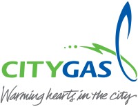 City gas pte ltd