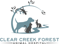 Clear creek animal hospital