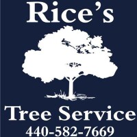 Rice's tree service & landscaping