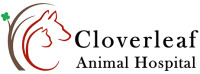 Cloverleaf animal hospital