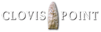 Clovispoint