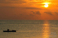 John cocozza photography