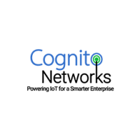 Cognito networks