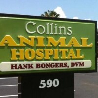 Collins animal hospital