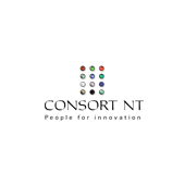 Consort nt