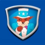 Coyote technical & executive sourcing