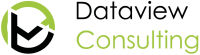 Dataview consulting inc.