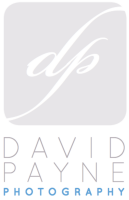 David payne photography