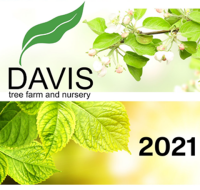Davis tree farm and nursery