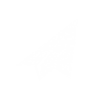 Deviate designs
