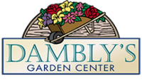 Dambly's, Inc.