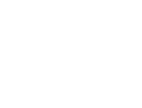 Divo