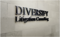 Diversify litigation & media consulting