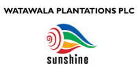 Thalangaha Estate, Watawala Plantations PLC