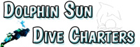 Boynton beach dive center/dolphin sun dive charters