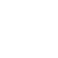 Donahue brothers