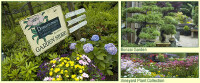 Donaromas nursery and landscape