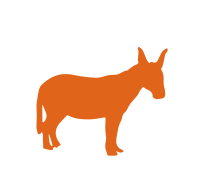 Donkey republic