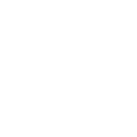 Donut delight