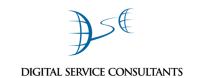 Digital service consultants