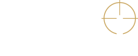 Dsei