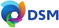 Dsm construction
