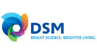 Dsm designs