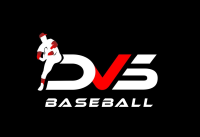 Dvs baseball