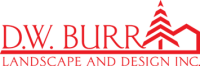 Dw burr