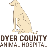 Dyer county animal hospital