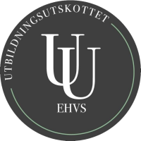 Ehvs