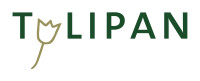 Tulipan