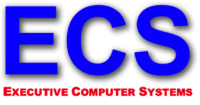 Executive computer systems