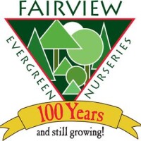 Fairview evergreen nurseries