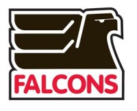 Falcons hockey association