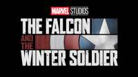 Falcon & snowman